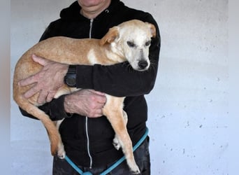 Boris - Wie lange würdest du das aushalten?