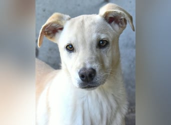 Elaro - gesucht: ein Post-it mit "Sicherheit"