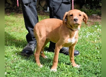 Wixelle - Als Mama noch bei uns war