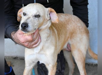 Boris - Wie lange würdest du das aushalten?