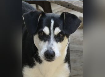 Nikita - Still, übersehen und dabei so besonders