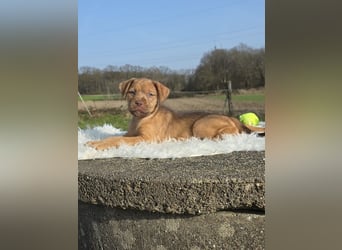 Lumi - Also ehrlich, wir sind doch noch Babys!