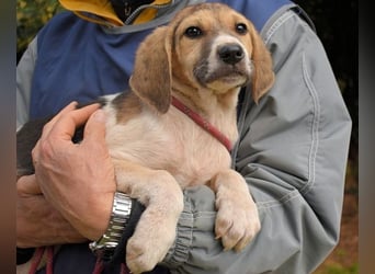 Wasker - Als Mama noch bei uns war