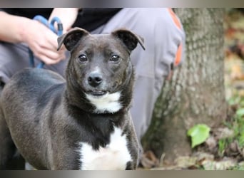 Cyrus - Vertrauen kann man lernen