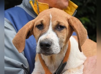 Waylo - Als Mama noch bei uns war