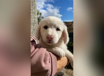 Ina - Neunmal werden wir noch wach...