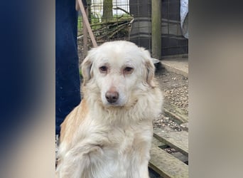 Ruby - wenn aus vorsichtigem Mut echtes Vertrauen wächst