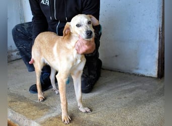 Boris - Wie lange würdest du das aushalten?