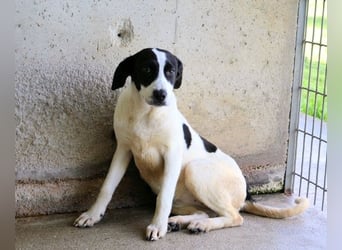 Raakel - Ein Anfang, der nie kam