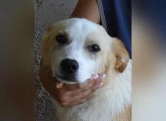 Simbad - Ein verlässlicher Partner...