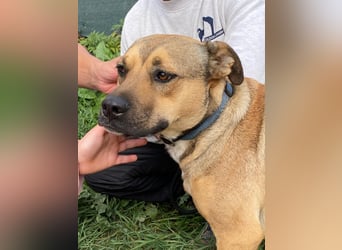 Faudor - Bist du die letzte Station meiner Odyssee?