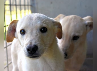 Elvio - seine Mut-Münzen sind fast aufgebraucht