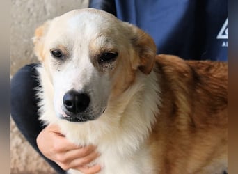 Simbad - Ein verlässlicher Partner...