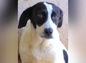 Raakel - Ein Anfang, der nie kam