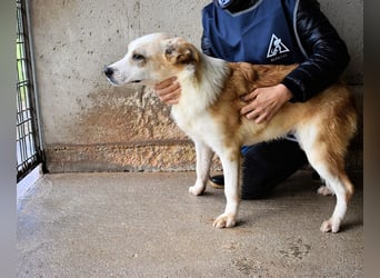 Simbad - Ein verlässlicher Partner...