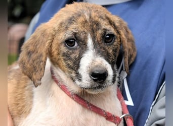 Woola - Als Mama noch bei uns war