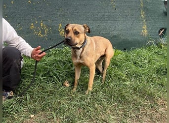 Faudor - Bist du die letzte Station meiner Odyssee?