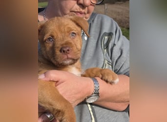 Linou - Also ehrlich, wir sind doch nur Babys!