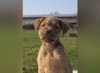 Lumi - Also ehrlich, wir sind doch noch Babys!