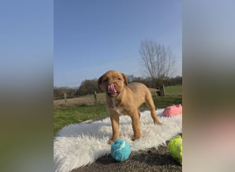 Linou - Also ehrlich, wir sind doch nur Babys!