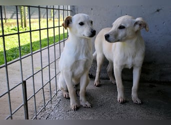 Elvio - seine Mut-Münzen sind fast aufgebraucht