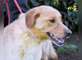 Burke - Der sanfte Bruder mit dem warmen Blick