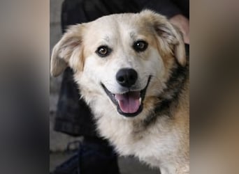 Fioralba - Fantastisches Powerpaket mit Freundlichkeitsbonus