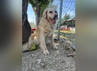 Ruby - wenn aus vorsichtigem Mut echtes Vertrauen wächst