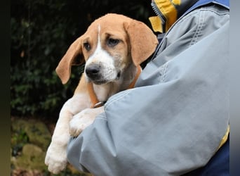 Waylo - Als Mama noch bei uns war