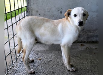 Elvio - seine Mut-Münzen sind fast aufgebraucht