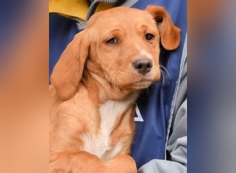 Wixelle - Als Mama noch bei uns war