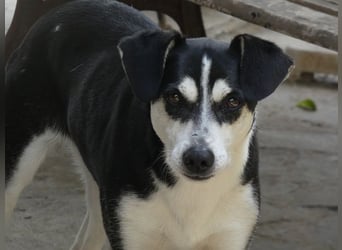 Nikita - Still, übersehen und dabei so besonders