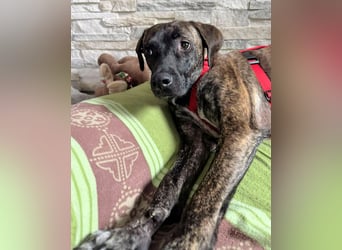 Branson - taut langsam auf und sucht Menschen mit Zeit