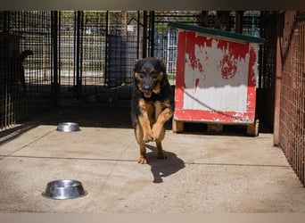 Nia: 50cm großes, aktives Mädchen