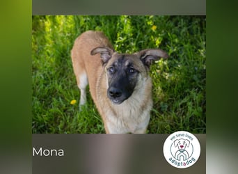 Mona: Fröhliche Spaßkanone