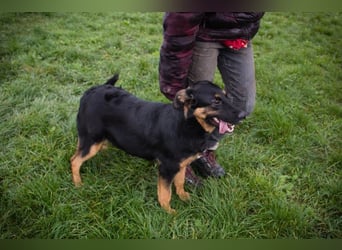 Nia: 50cm großes, aktives Mädchen