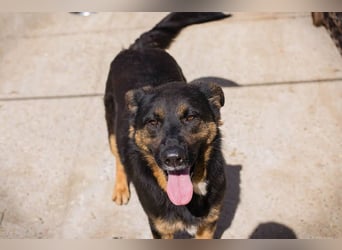 Nia: 50cm großes, aktives Mädchen