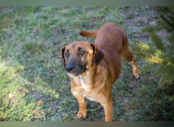 Hazel: Freundlich und voller Hoffnung