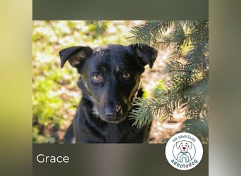 Grace: Sanfte Seele sucht Halt
