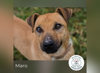 Maro: Energiebündel mit Herz