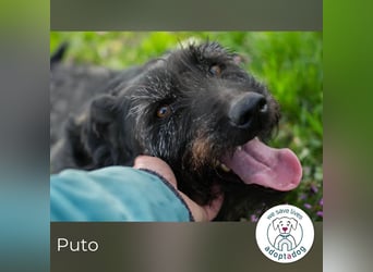 Pluto 156420 sucht ein zu Hause