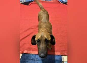 Hazel: Freundlich und voller Hoffnung