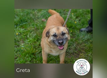 Greta 214599 sucht ein zu Hause
