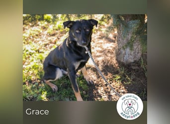 Grace: Sanfte Seele sucht Halt