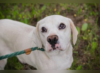 Chip 283414 sucht ein Zuhause