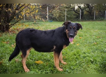 Nia: 50cm großes, aktives Mädchen