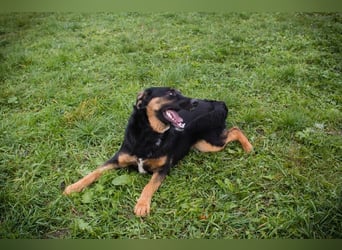 Nia: großes, aktives Mädchen