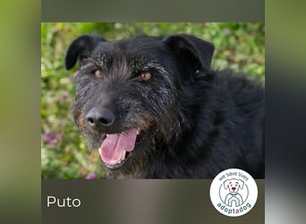 Pluto 156420 sucht ein zu Hause
