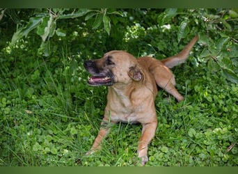 Greta: Liebenswerter Schatz