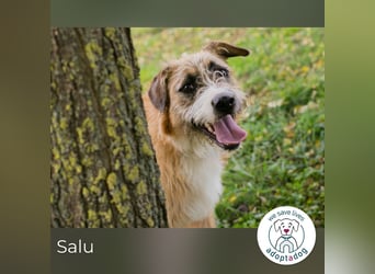 Salu: Leises Herz will wieder strahlen